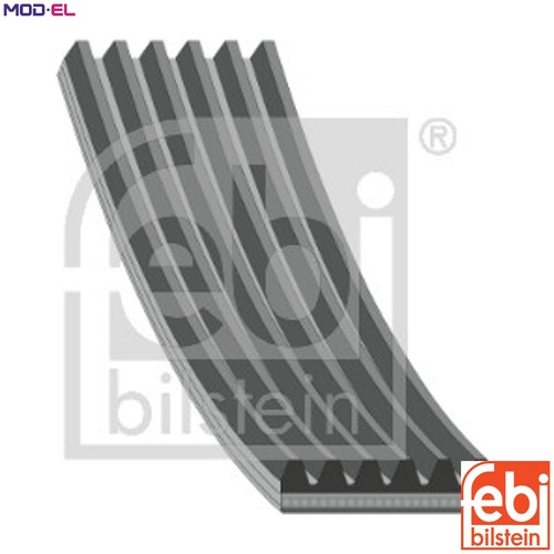 Vribbed belt 28977 for - vribbed,